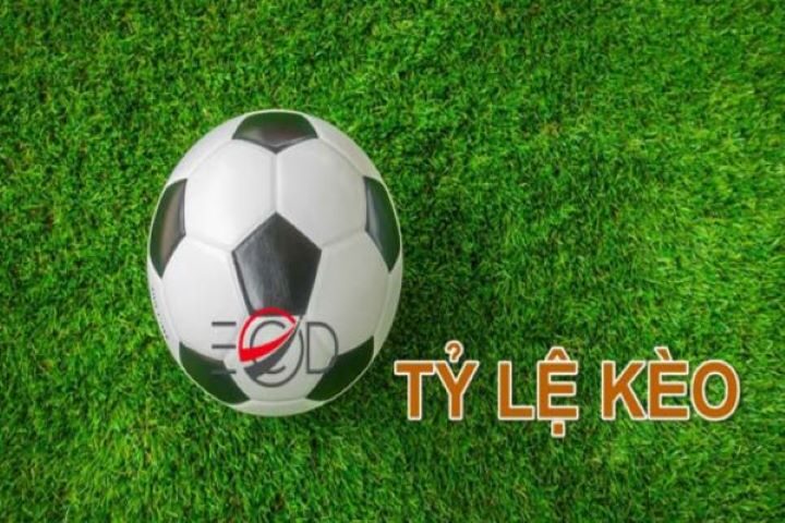 Các loại tỷ lệ kèo nhà cái Mibet thông dụng hiện nay