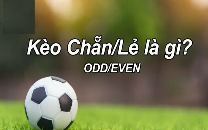 Hướng dẫn soi kèo phạt góc cho người mới bắt đầu cá cược trực tuyến